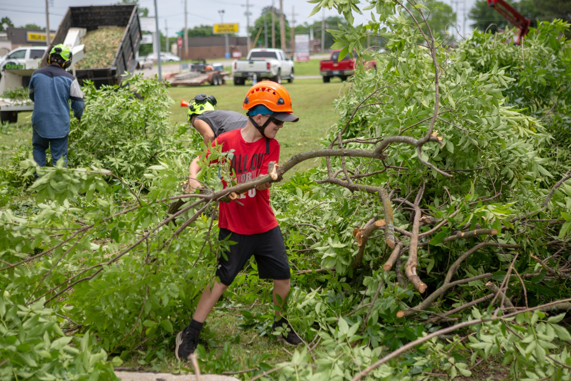 Sand Springs Tree Service We Provide Professional Tree Service in