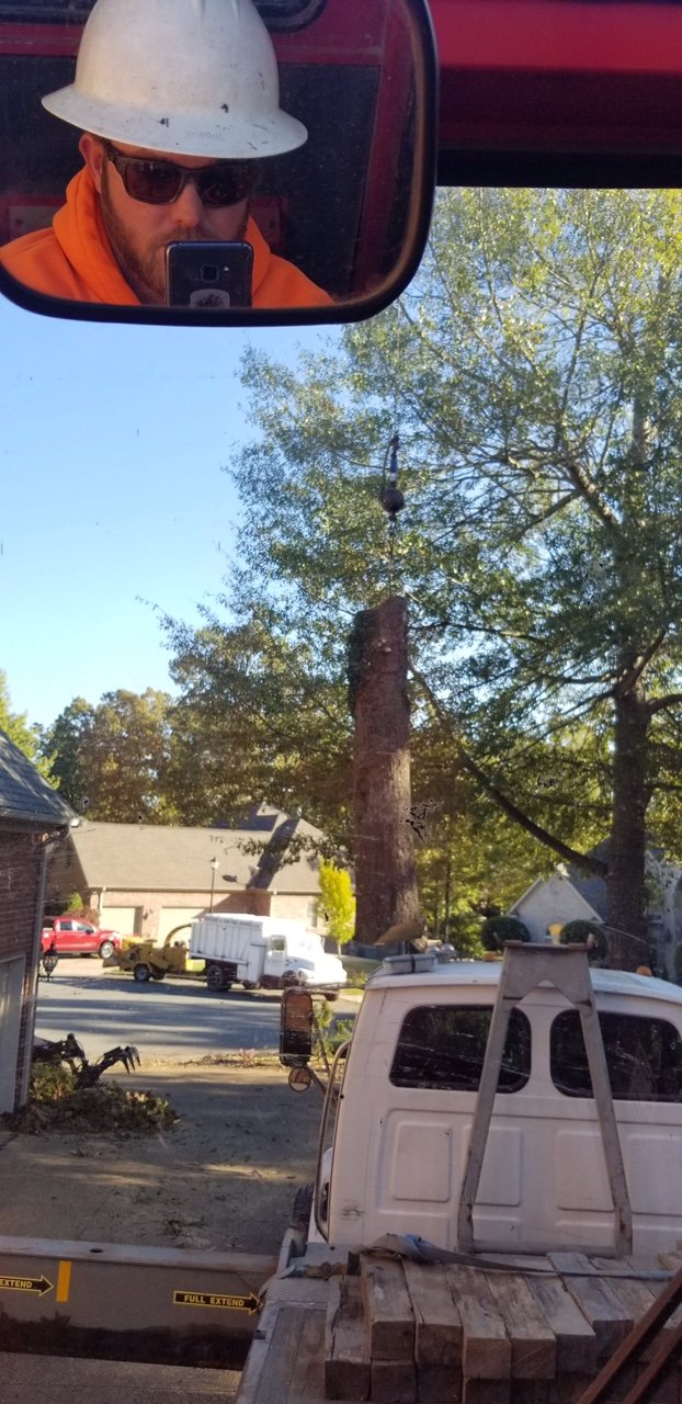 Tree Service Gallery Parsons & Son Tree Service Benton