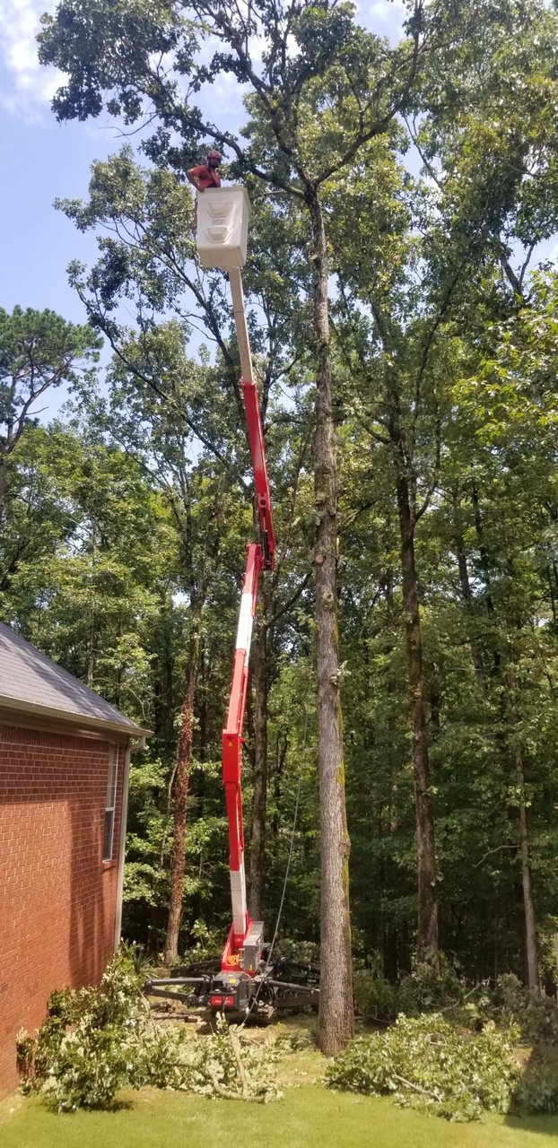 Tree Service Gallery Parsons & Son Tree Service Benton