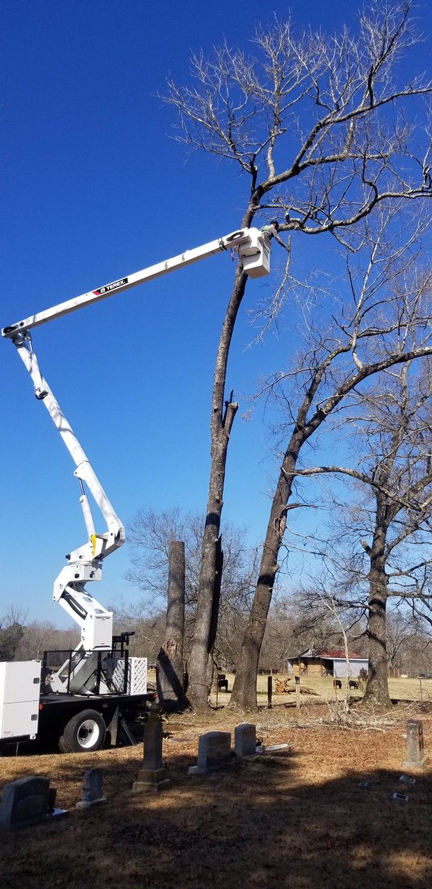 Tree Service Gallery Parsons & Son Tree Service Benton