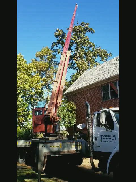 Tree Service Gallery Parsons Son Tree Service Benton
