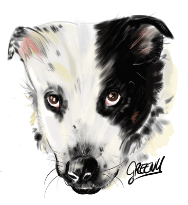 Pet portraits Gallery page-Pet Caricature Have Your Pets Drawn | Personalised Pet Portraits
