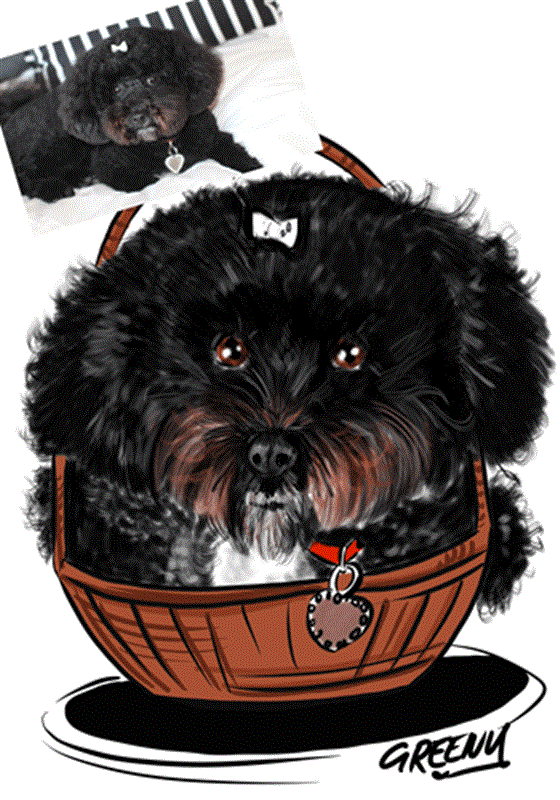 Pet portraits Gallery page-Pet Caricature Have Your Pets Drawn | Personalised Pet Portraits