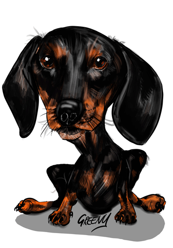 Pet portraits Gallery page-Pet Caricature Have Your Pets Drawn | Personalised Pet Portraits