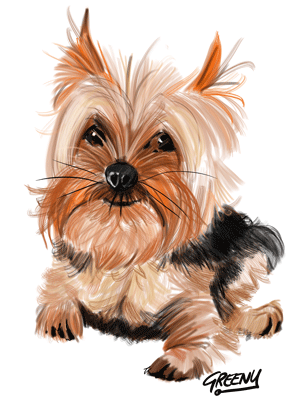 Pet portraits Gallery page-Pet Caricature Have Your Pets Drawn | Personalised Pet Portraits