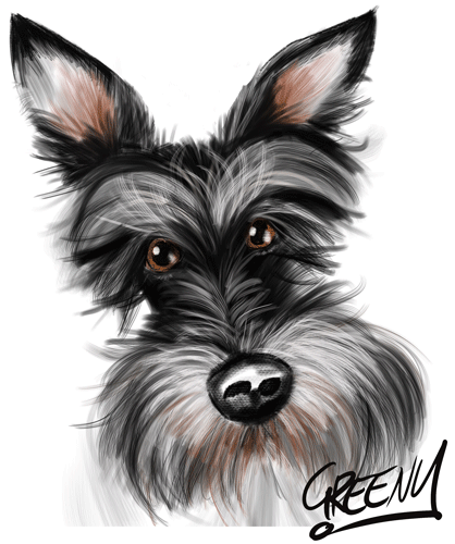 Pet portraits Australia get your Pets drawn by cartoonist David Green