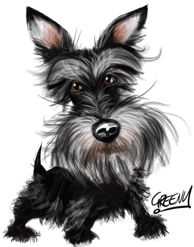 Pet portraits Australia get your Pets drawn by cartoonist David Green