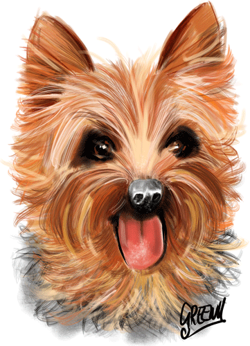 Pet portraits Gallery page-Pet Caricature Have Your Pets Drawn | Personalised Pet Portraits