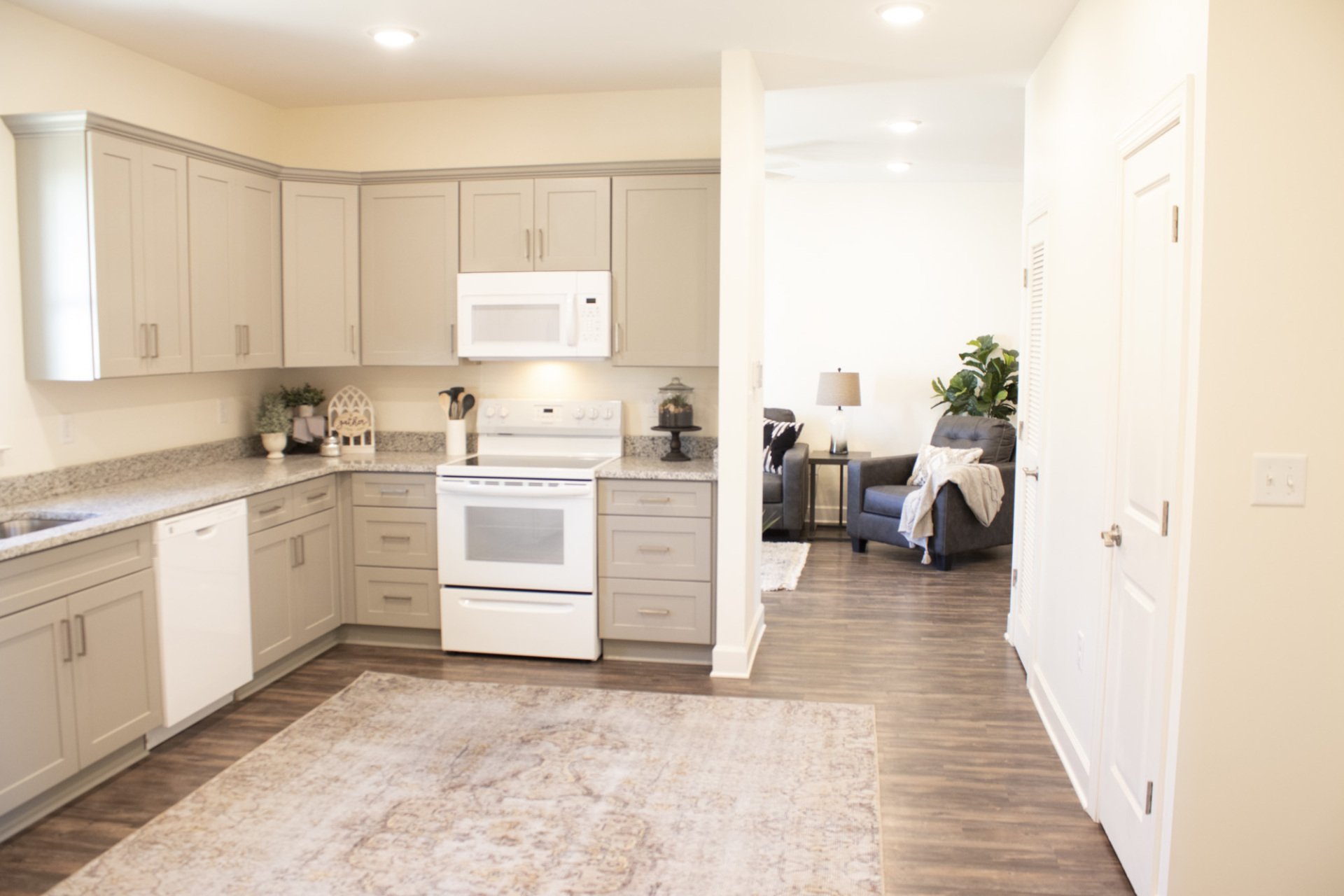 Newly Constructed Apartments in Moultrie, Area