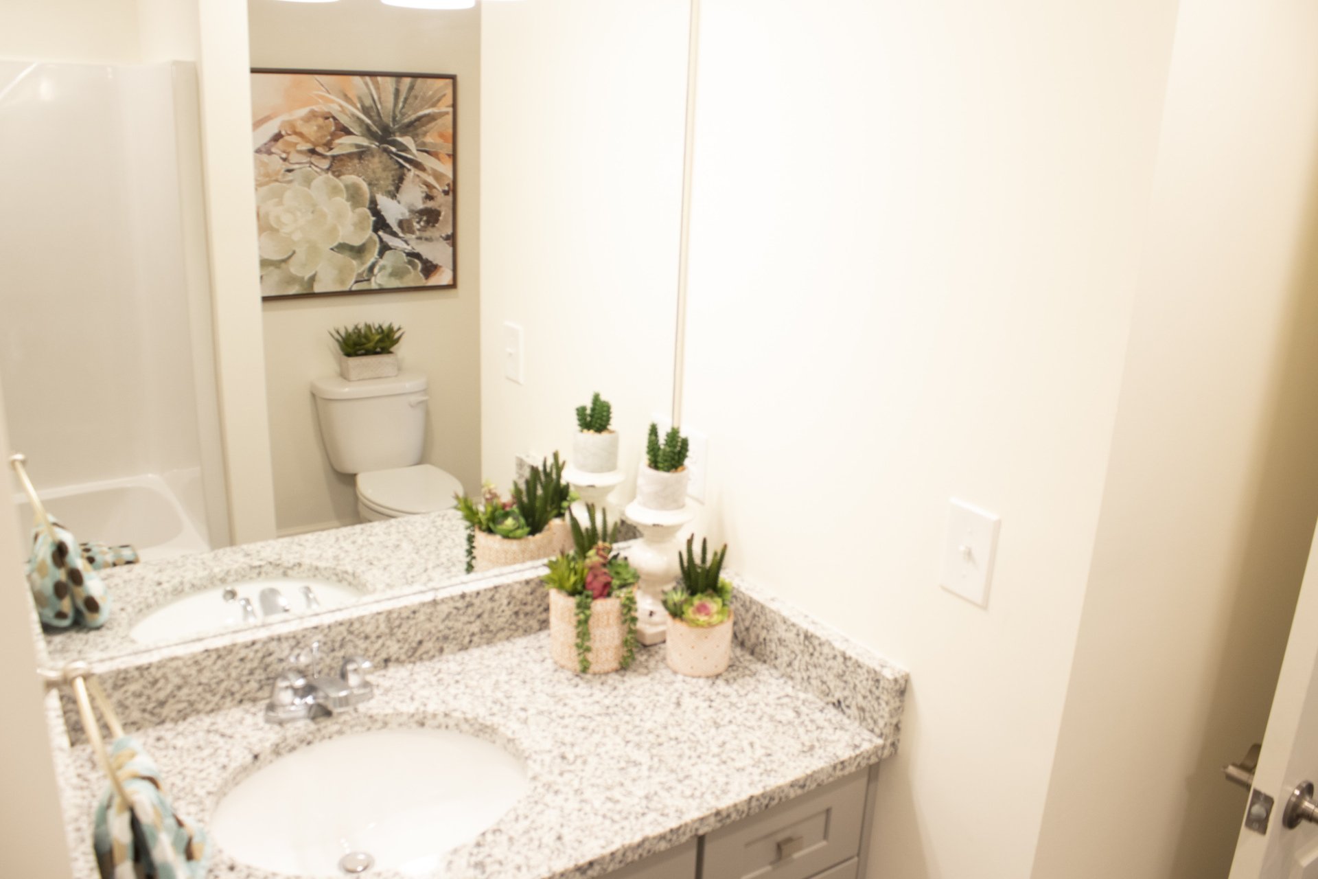 Newly Constructed Apartments in Moultrie, Area