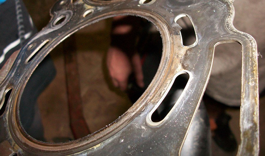 Why Colour Matters When Choosing Gaskets?