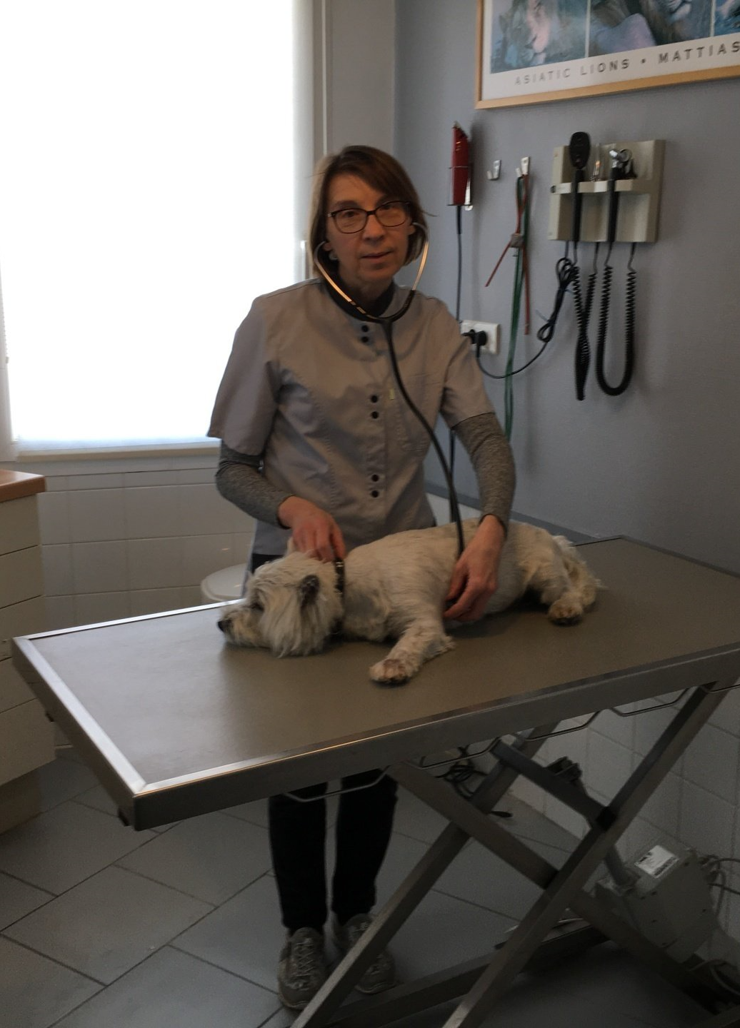 Page d'accueil de la clinique vétérinaire de VilleboisLavalette