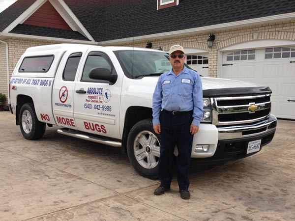 Pest Control in Harrisonburg, VA Absolute Termite &amp; Pest