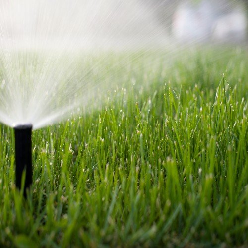 Sprinkler Company Amarillo, TX Amarillo Lawn Sprinkler