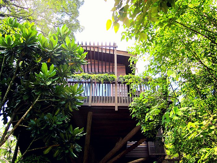 Tree Top Lofts, Resorts World Sentosa Reforestation work
