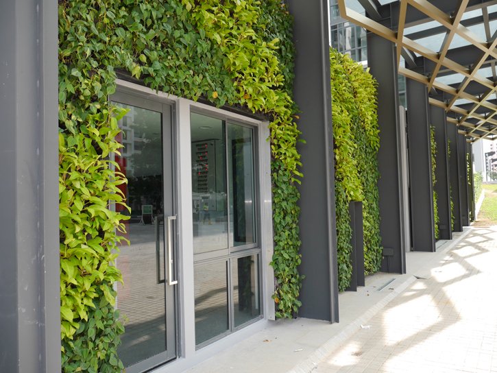 The Luxurie Proprietary Modular Greenwall Panel System