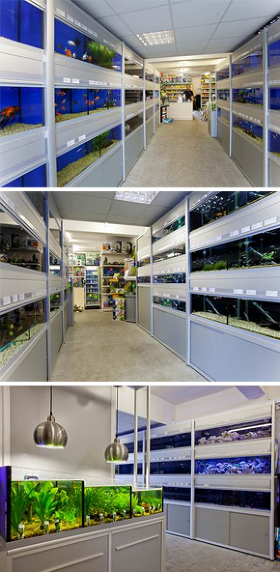 nearest tropical fish store