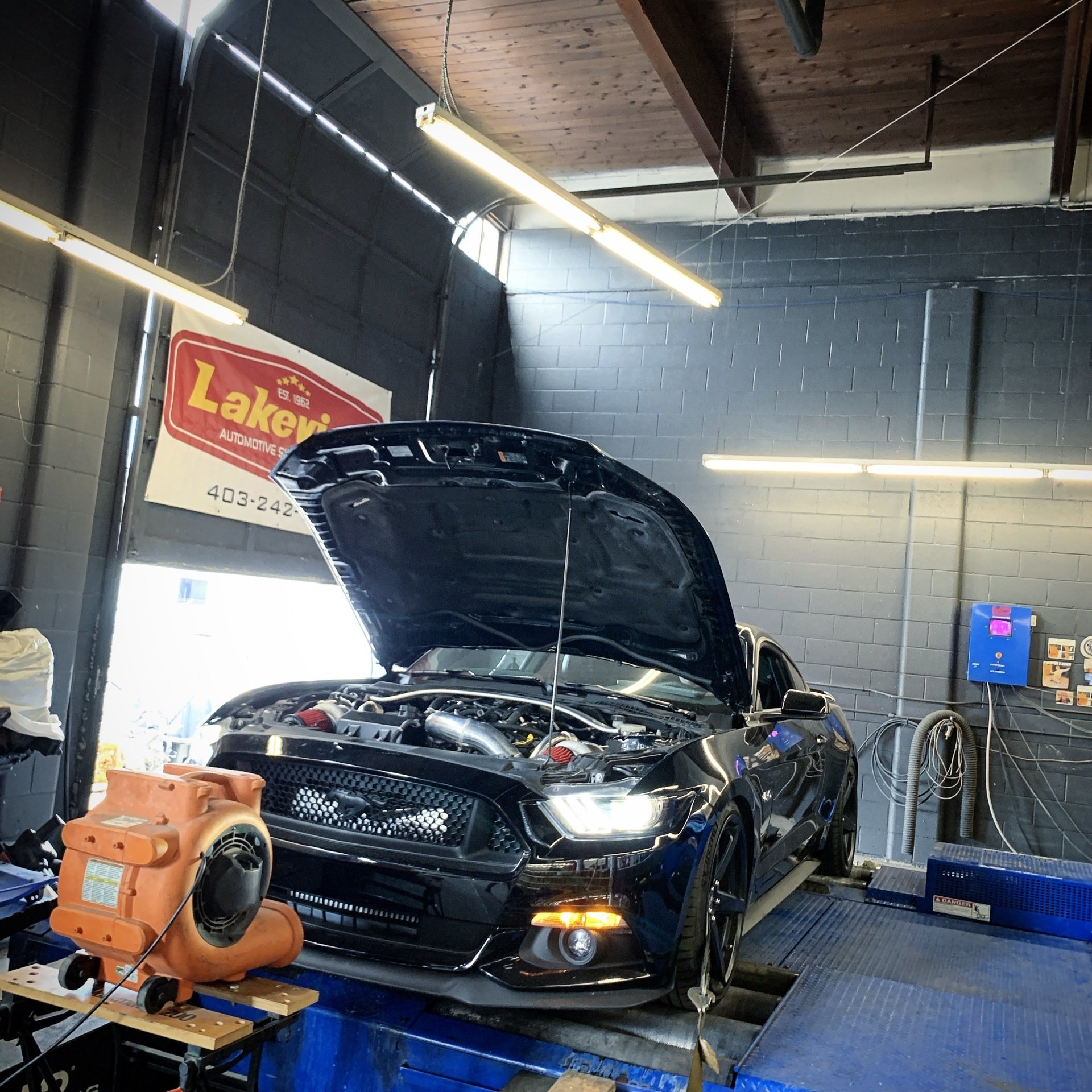 Ford Mustang Repair in Calgary Mustang Service Lakeview Automotive