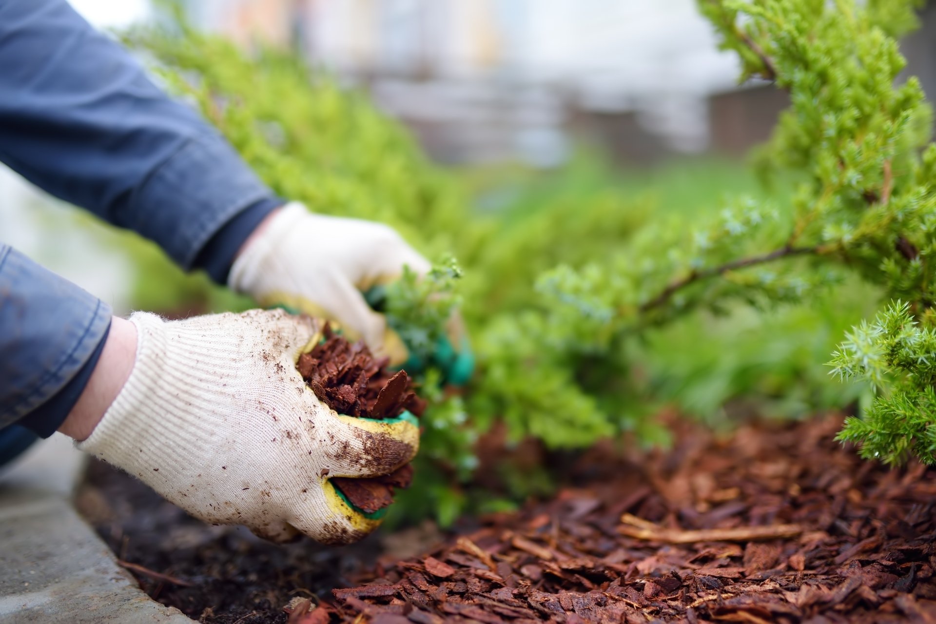The Benefits of Spring Mulching