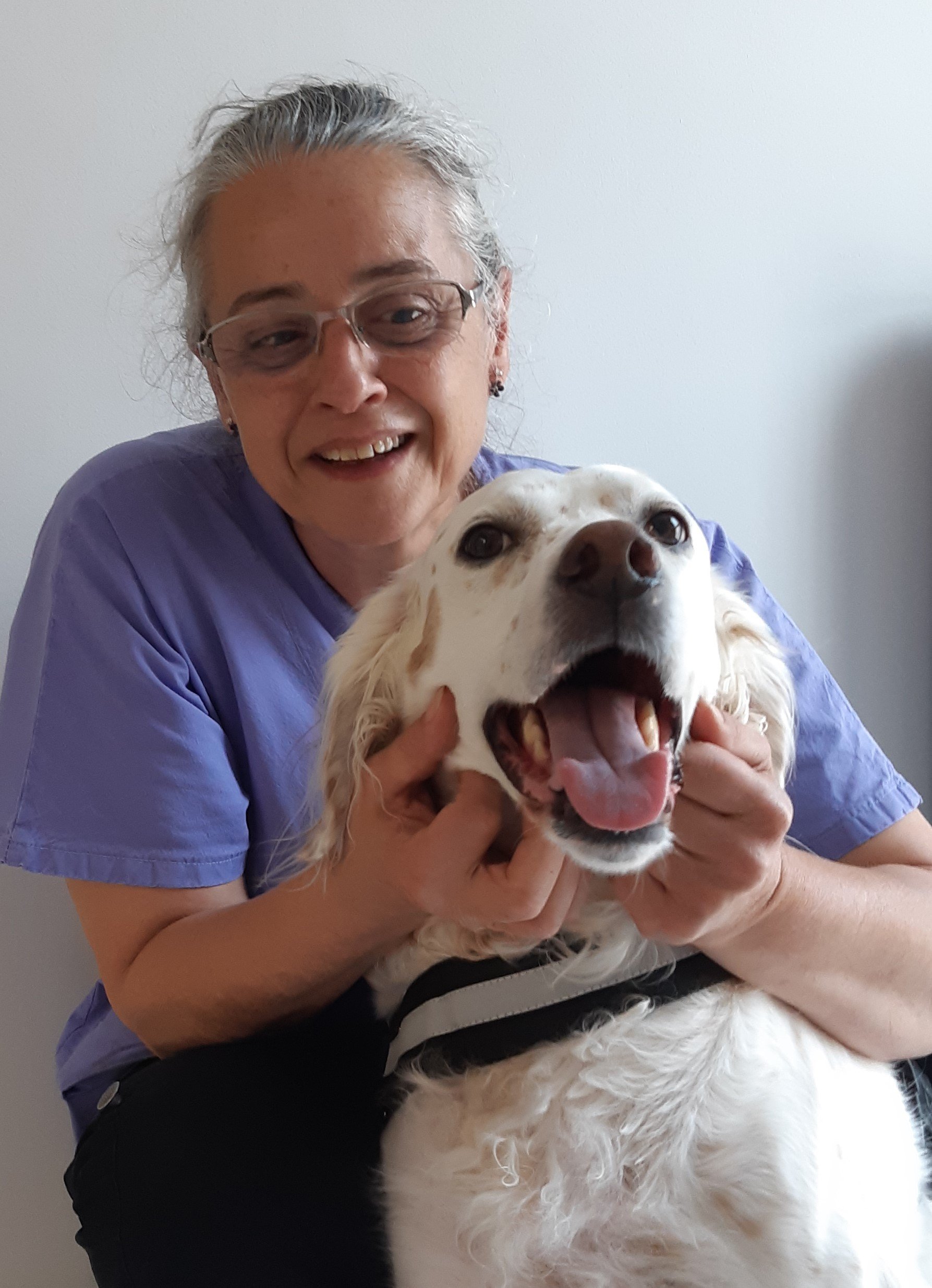 Clinique de l'étoile à Cholet, vétérinaire chien, chat, NAC