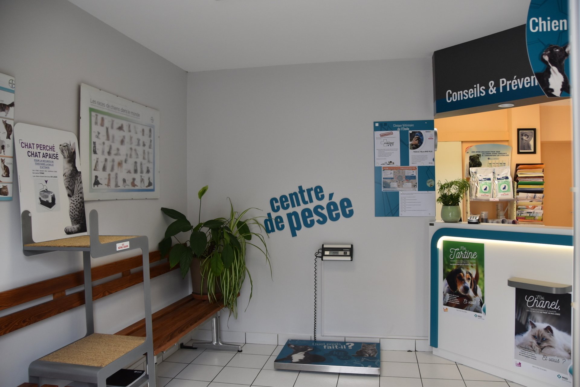 Clinique Vétérinaire De L'etoile Mallet Et Thony