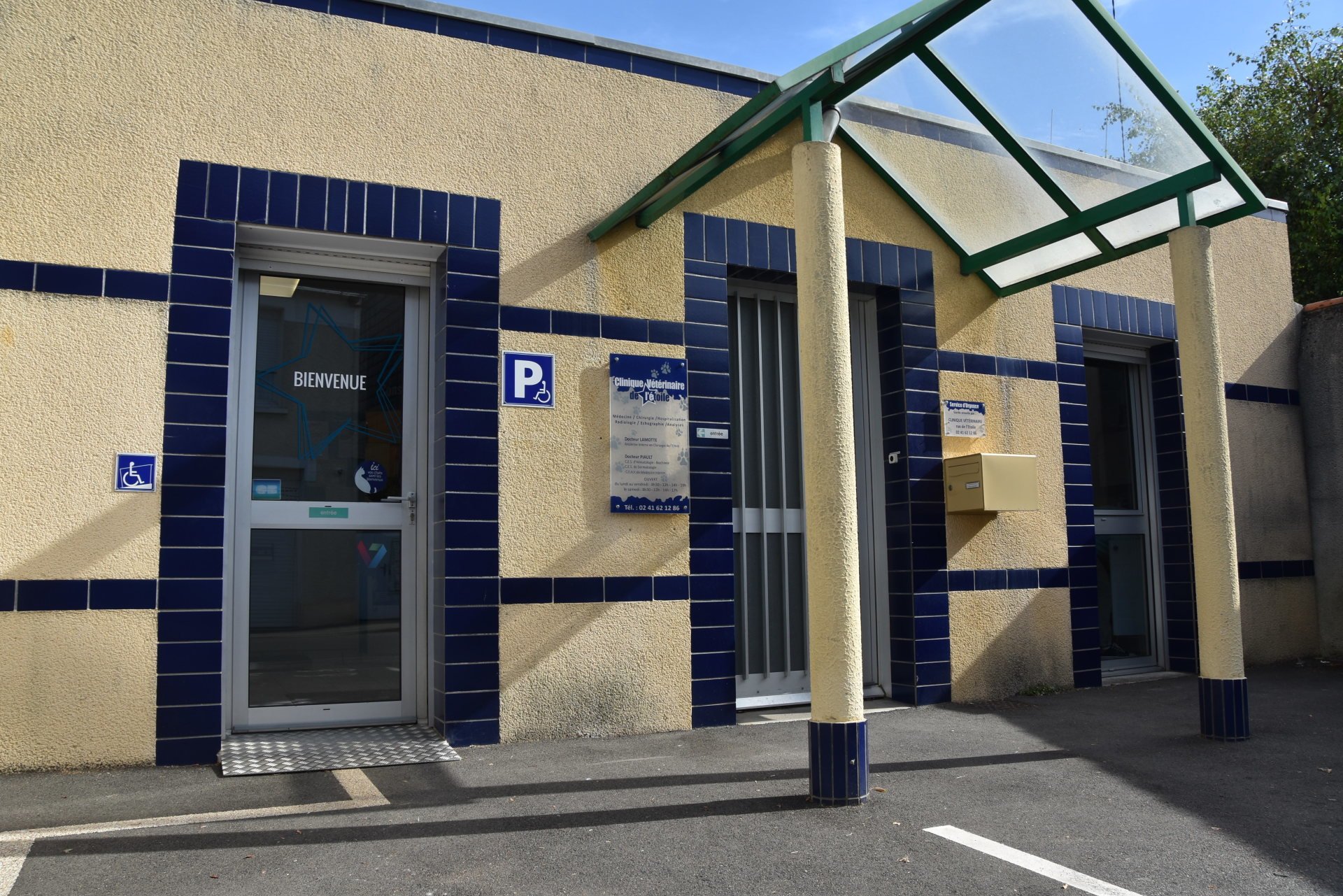 Clinique de l'étoile à Cholet, vétérinaire chien, chat, NAC