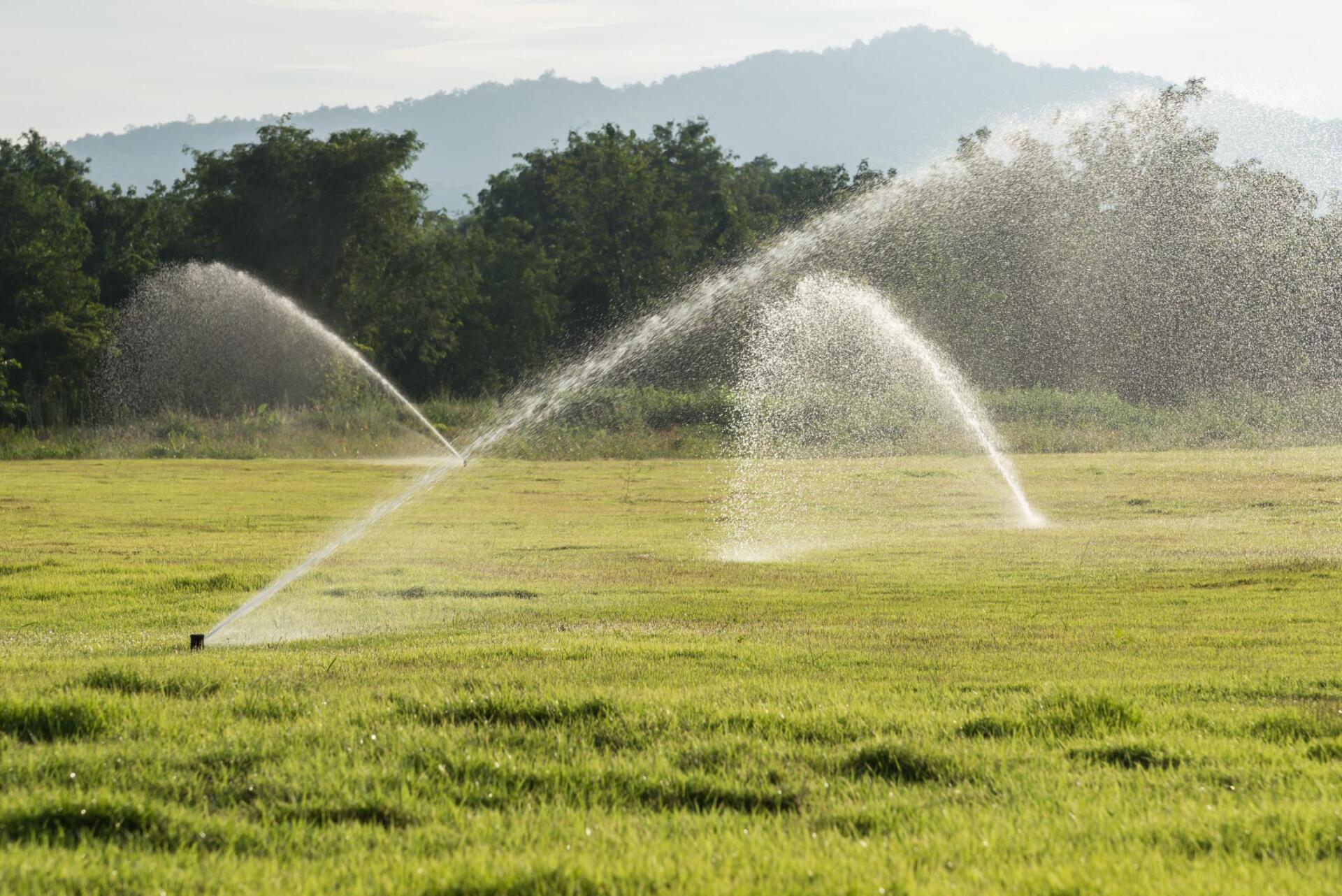 Irrigation, Water Feature Filtration, Save Water, Salem, OR