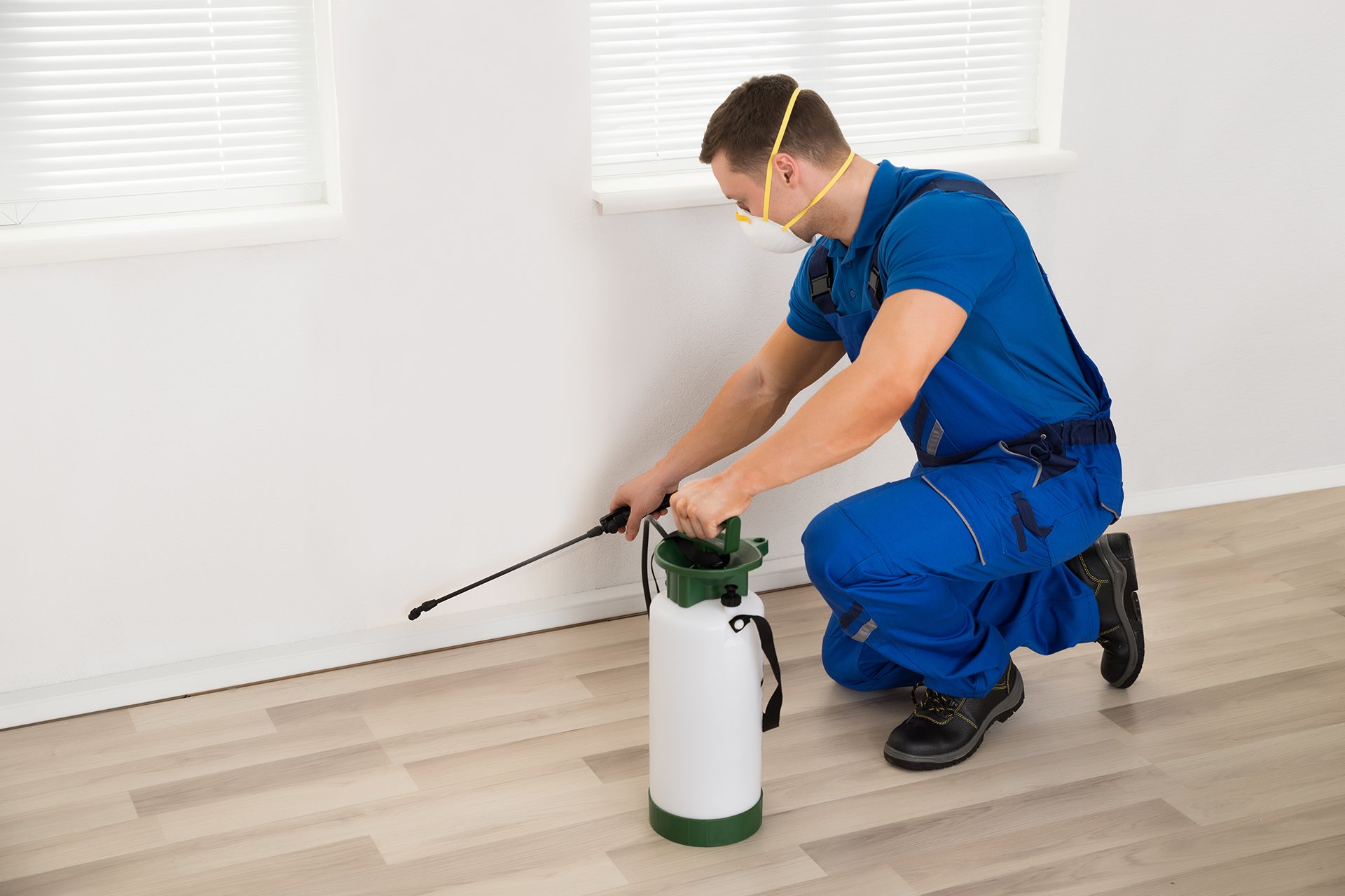 Bedbug control Cimex Pest Control Services Ltd