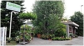 Azienda di giardinaggio bergamo licini giacomo srl Progettazione giardini bergamo