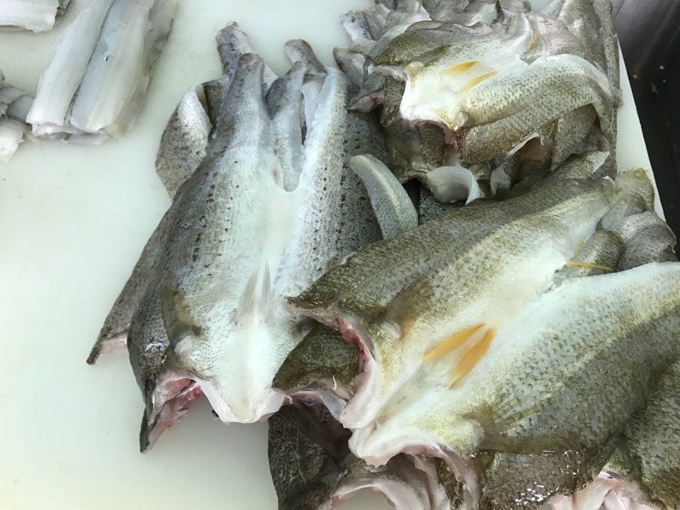 Local, Seasonal Seafood Direct from the Fisherman Victor Harbor