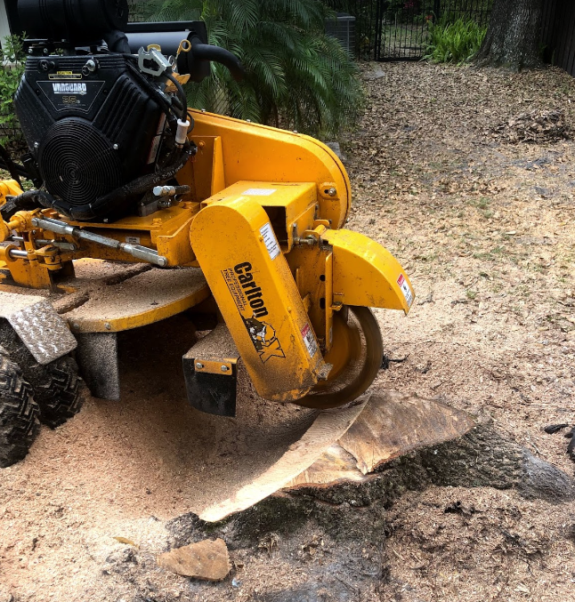 Local Stump Grinding Near Jacksonville Florida Tree Removal