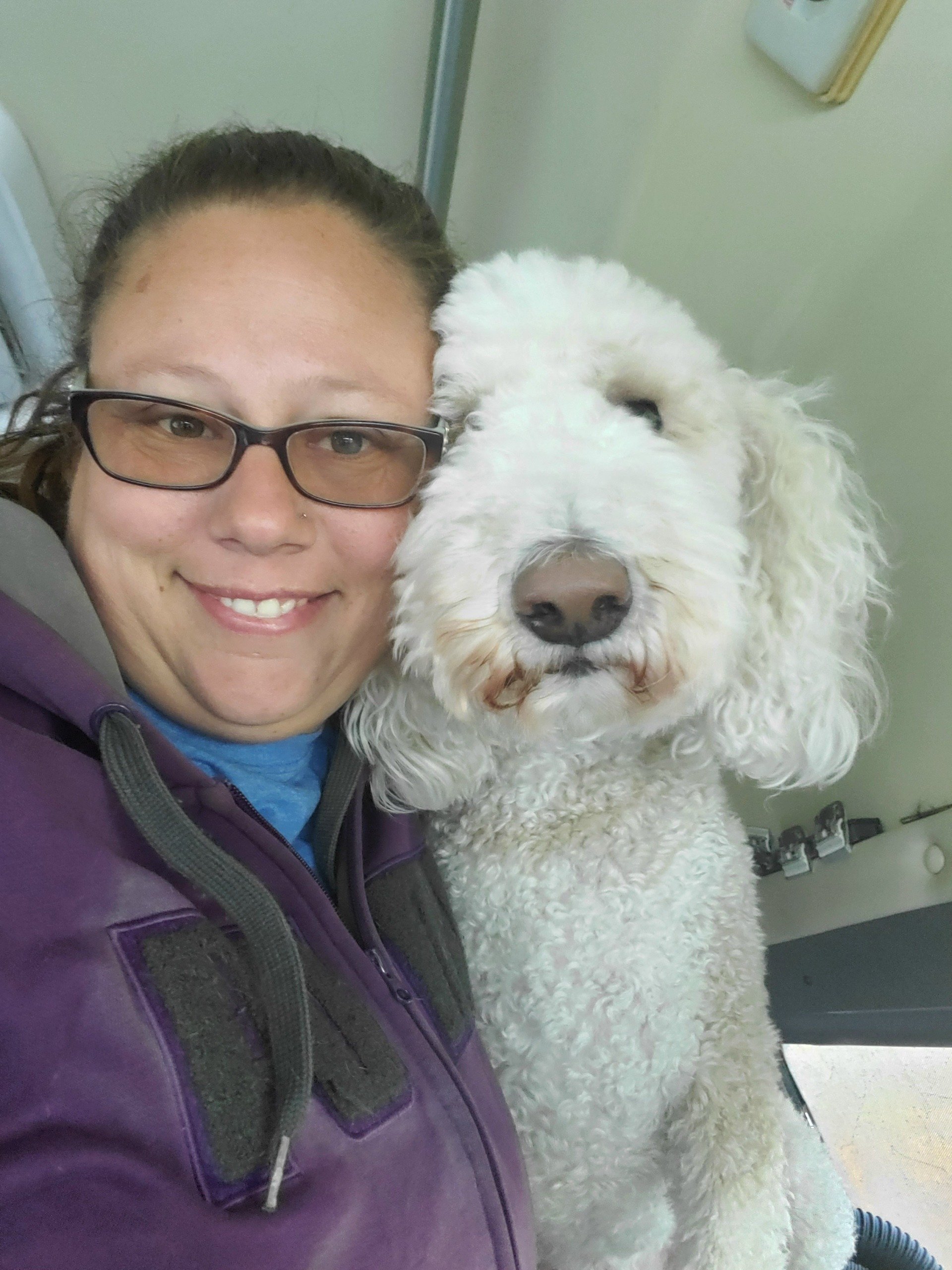 Fresh & Clean Pets Apache Junction, AZ Dashing Groomer