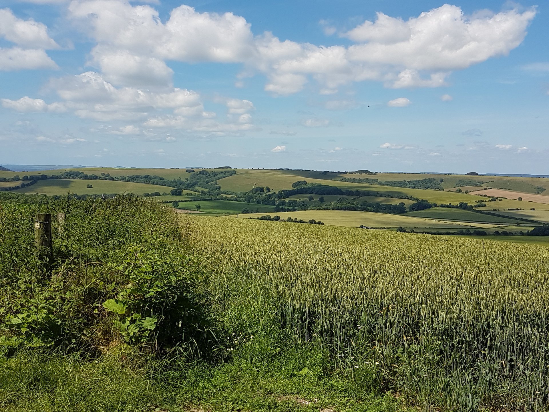 MTB New Forest Mountain Ride Options