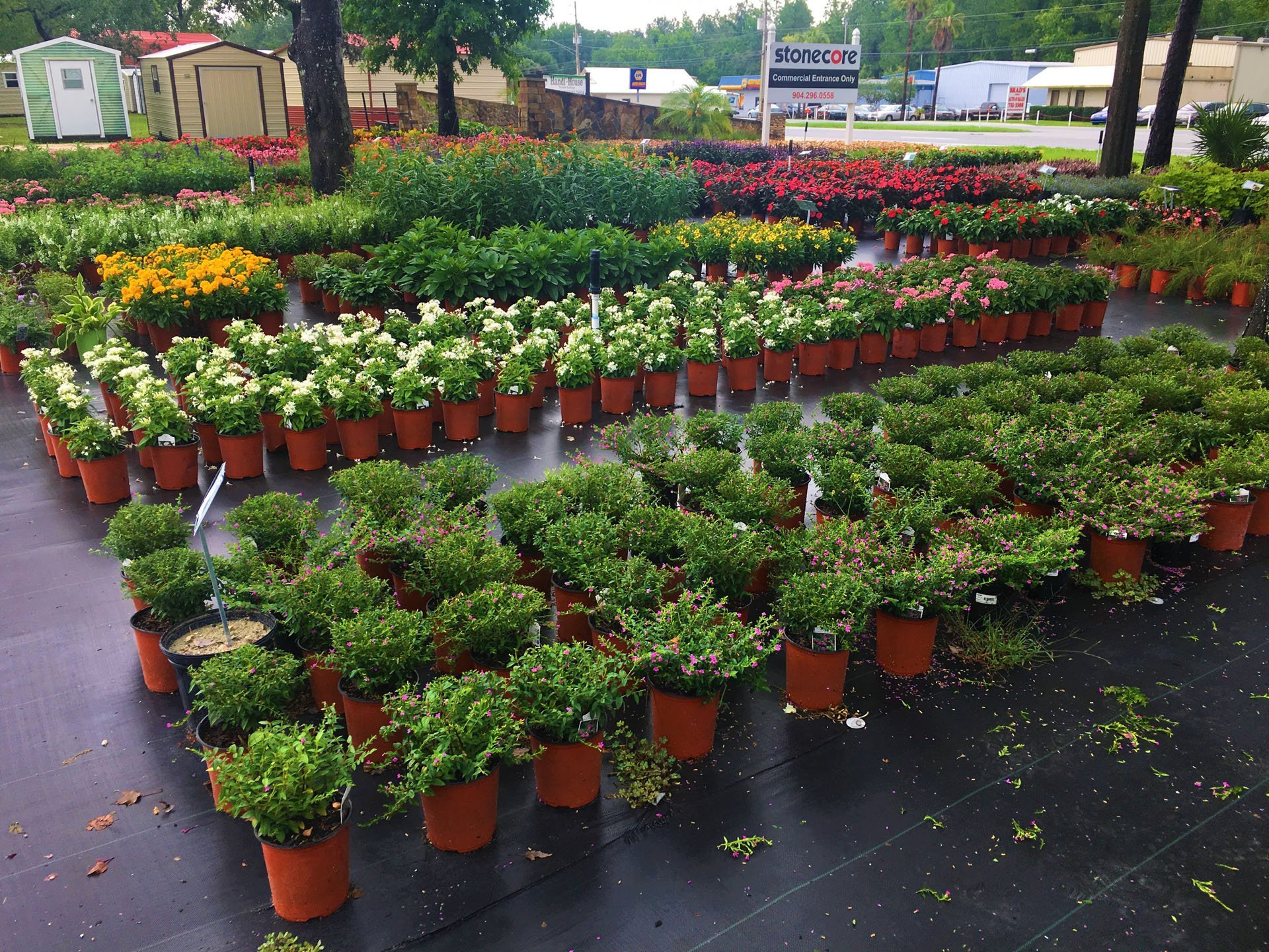 Holiday’s Nursery & Landscaping Jacksonville, FL Nursery