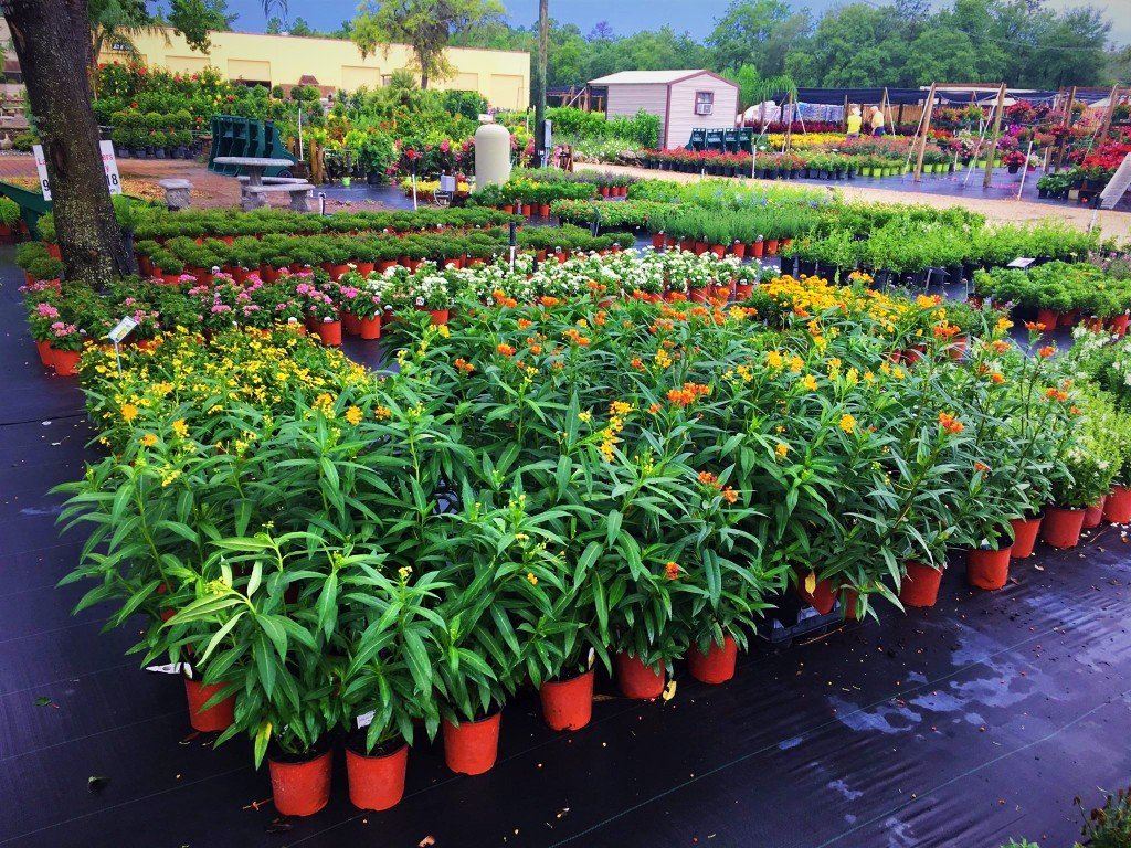 Holiday’s Nursery & Landscaping Jacksonville, FL Home