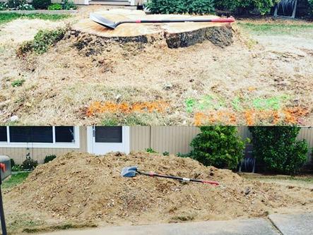Gallery | Portland Stump Grinding