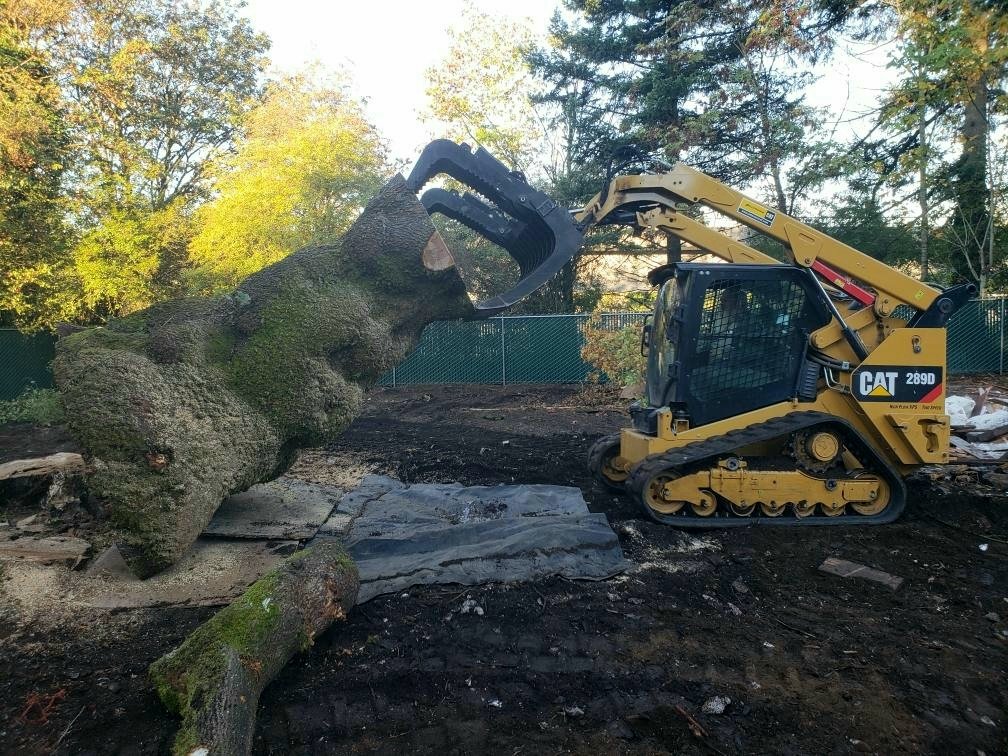 Gallery | Portland Stump Grinding