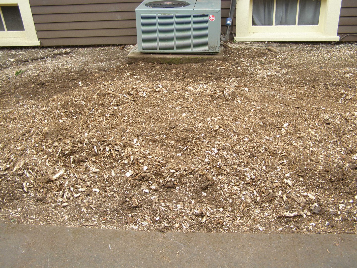 Gallery | Portland Stump Grinding