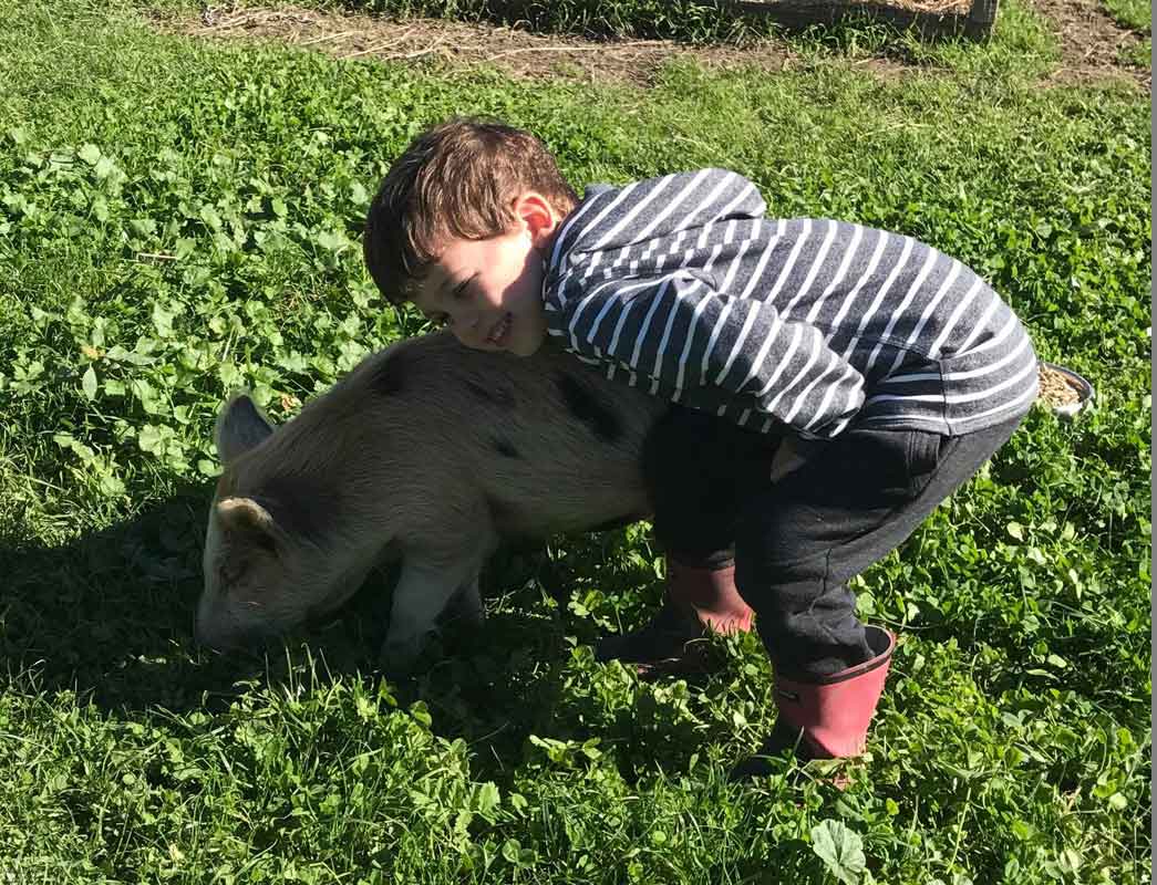 young boy playing with a pig