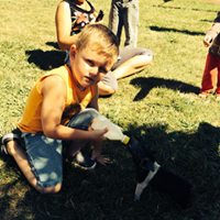 young boy feeding the animal