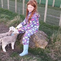 young girl feeding the animal