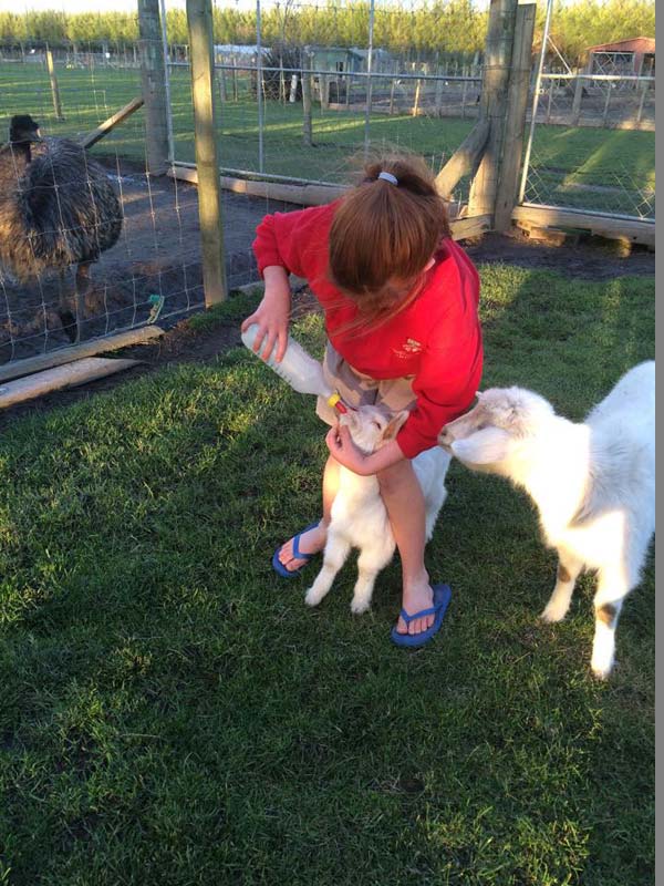 Young girl feeding the animal