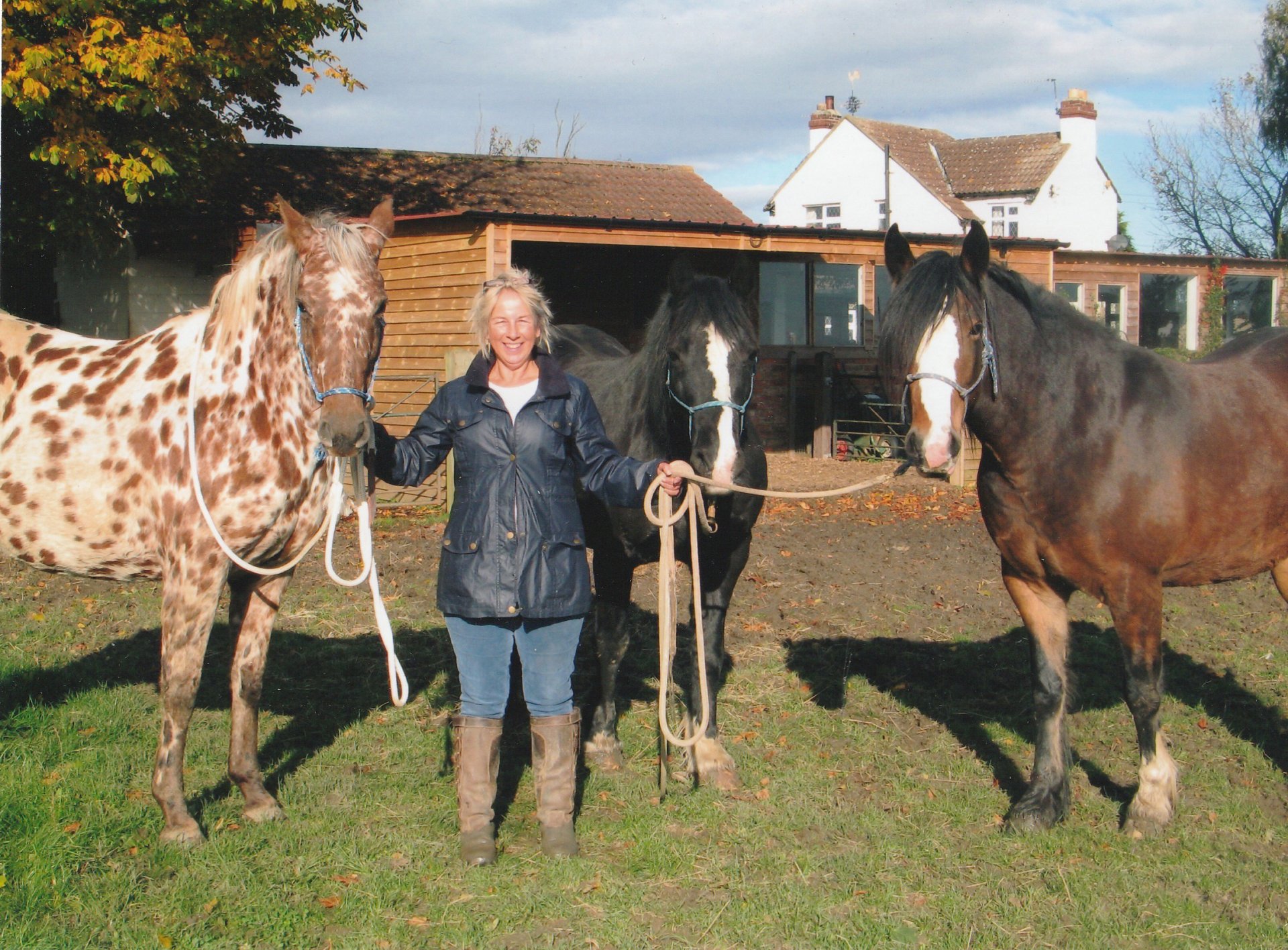 HORSES Cutters Canines & Equines Claire Klima Animal Behaviourist