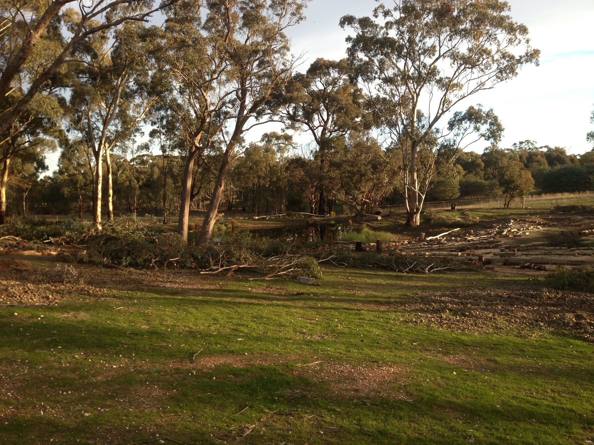 Branch chipping services in Ballarat
