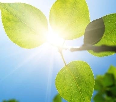 Manutenzione e disinfestazione aree verdi milano impresa pulizia ... Imprese giardinaggio milano