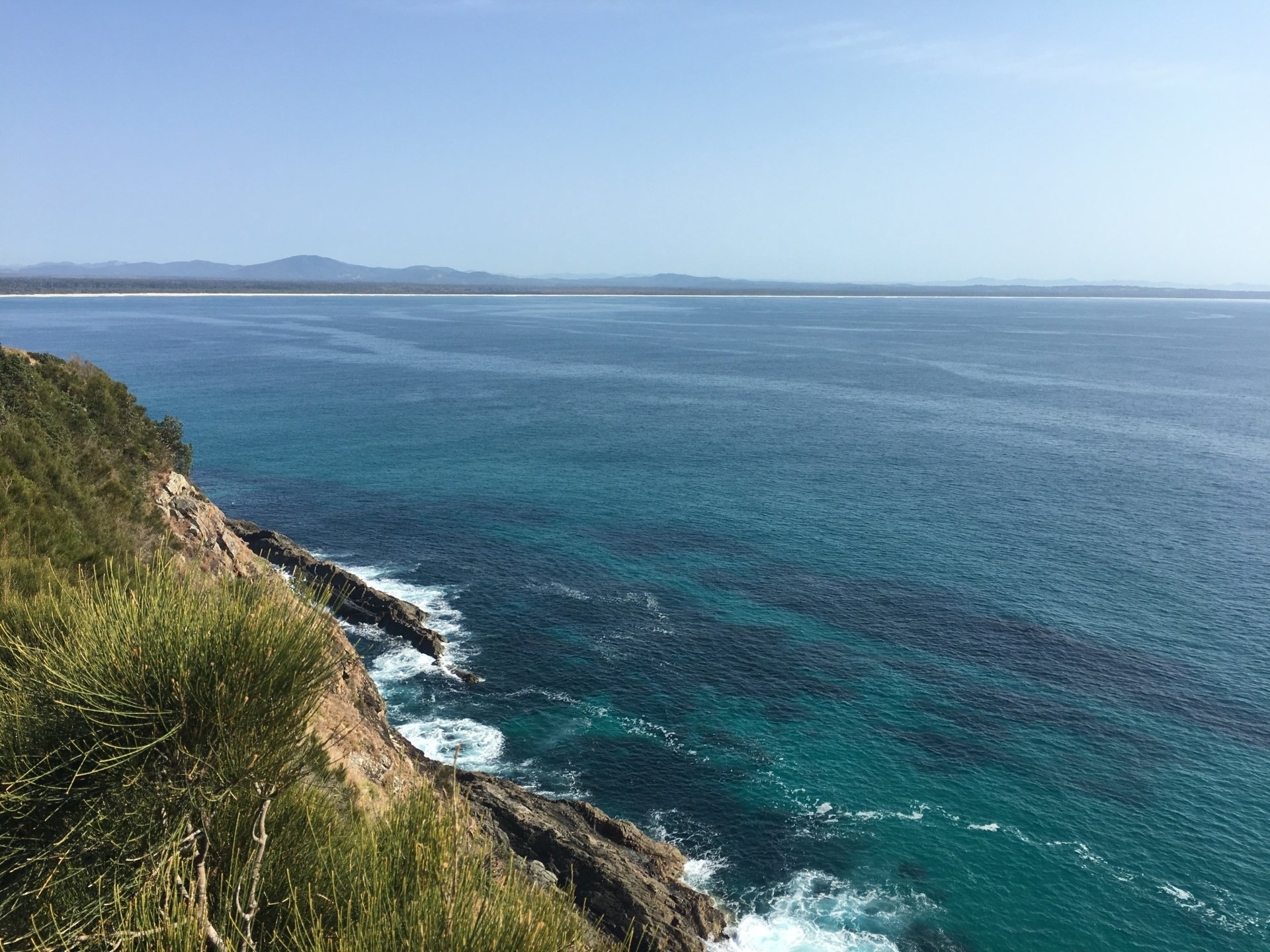 Dive Sites | Forster & Seal Rocks