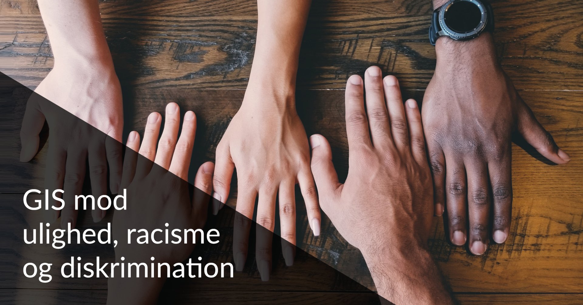 GIS mod ulighed, racisme og diskrimination