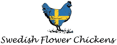 Swedish Flower Chickens For Sale Swedishflowerchickens Swedish Flower Chickens For Sale Swedishflowerchickens