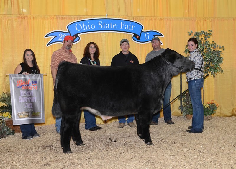 Show Steers, Show Heifers Shane Show Cattle, OH