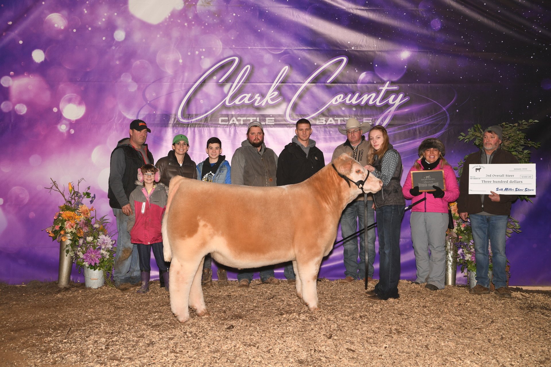 Show Steers, Show Heifers Shane Show Cattle, OH